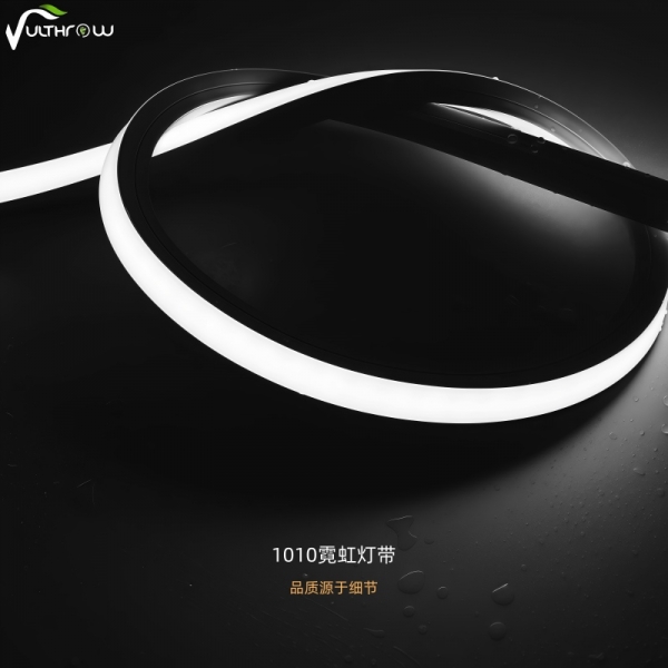 1010霓虹灯带